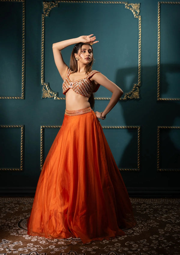 Tangelo Organza Lehenga Set